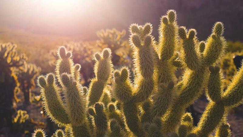 推荐几部老年人爱看的电视剧?