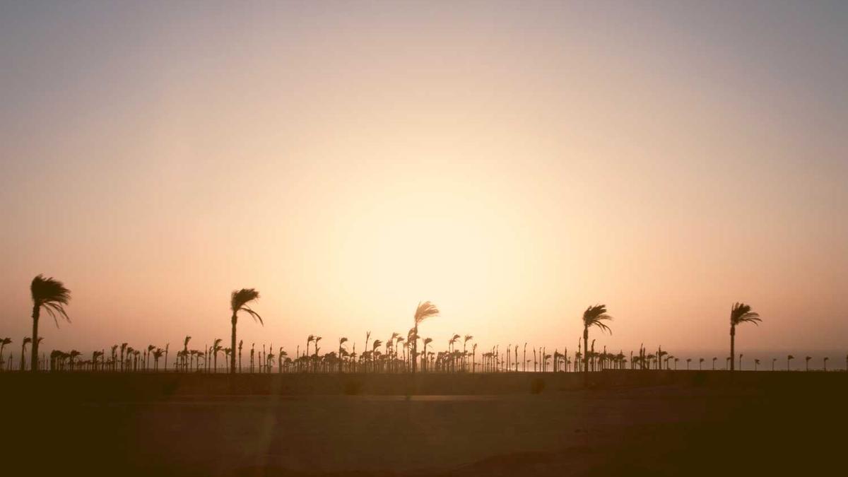 与你是个什么社交软件?