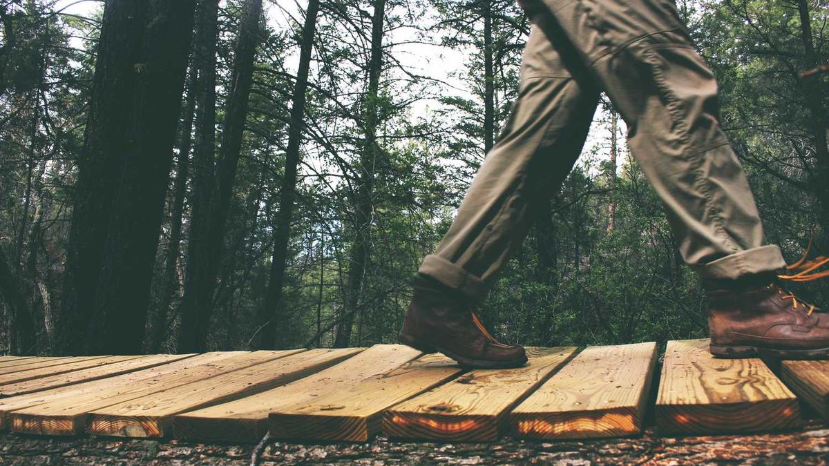 与你是个什么社交软件?