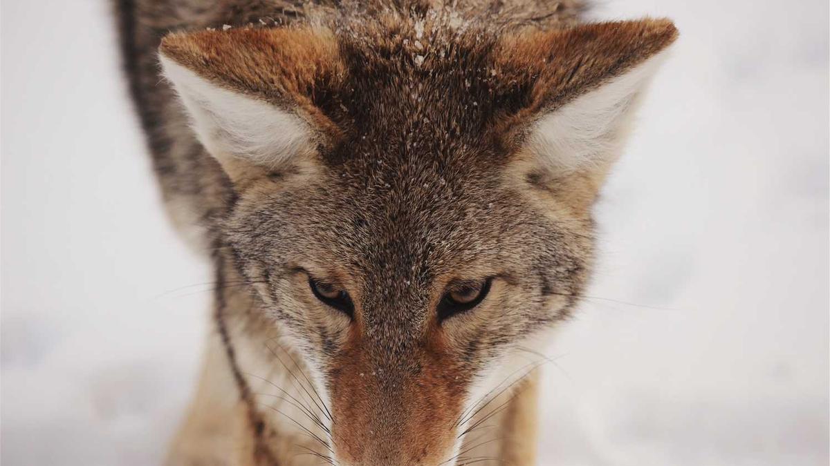 约女生吃饭幽默说法