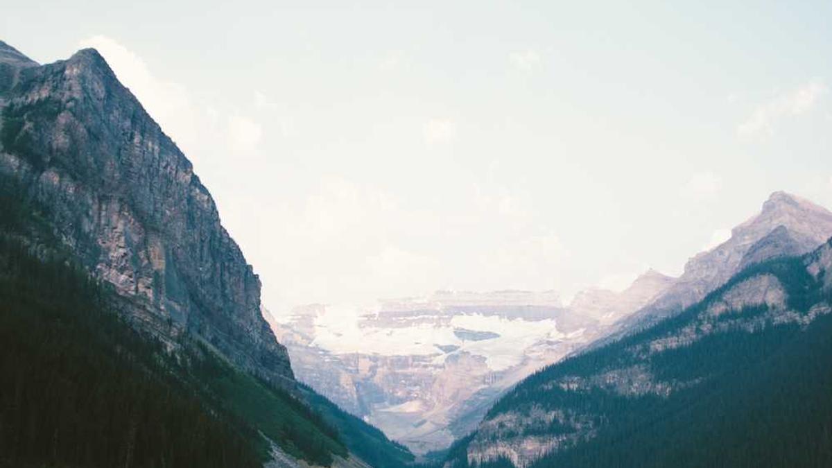 曾挤走倪萍,还将杨幂骂到退出京圈!她当年到底有多“豪横”?