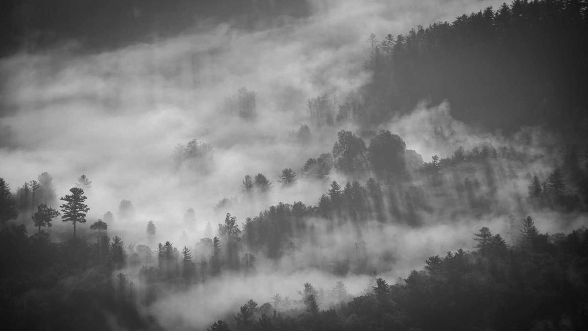 请问小说结尾高义,白洁,孙倩,王申怎么样了?