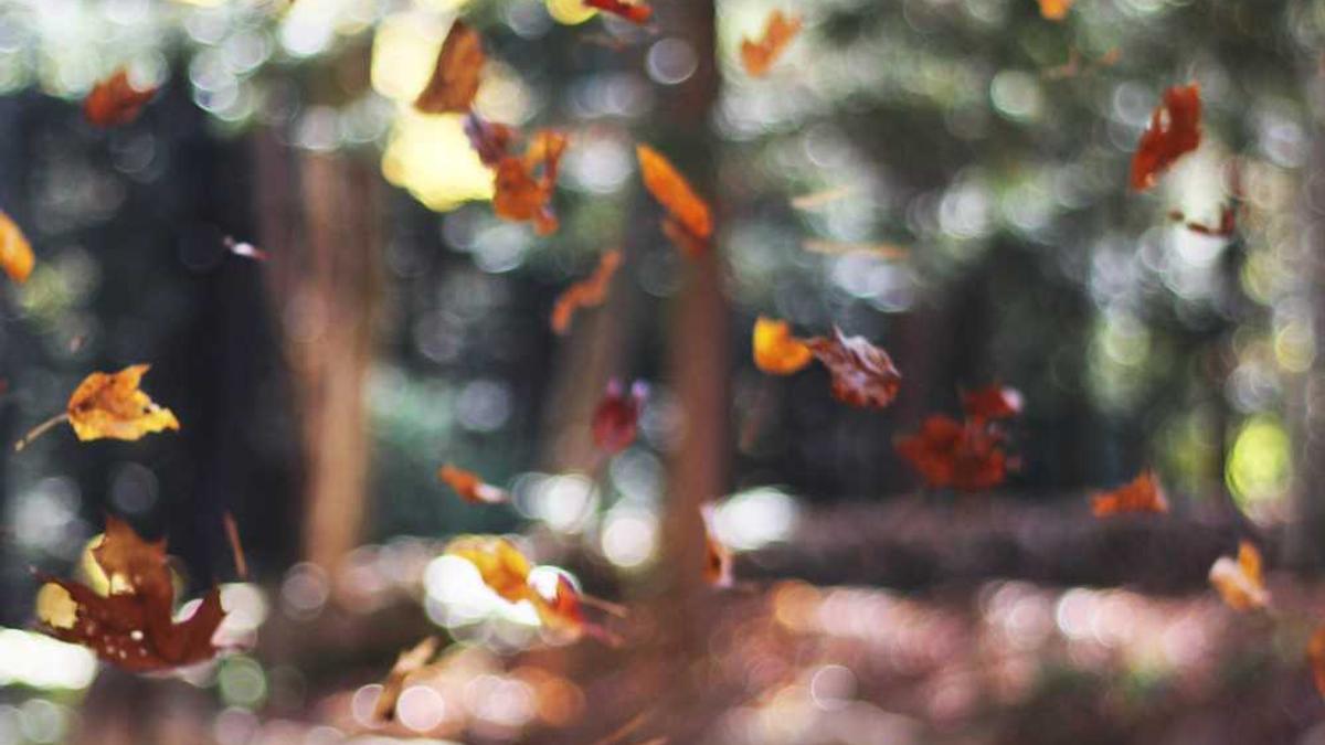 如何利用AI创作无版权歌曲