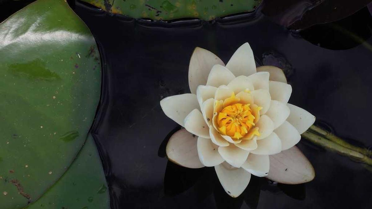 怎样和按摩女技师聊天?