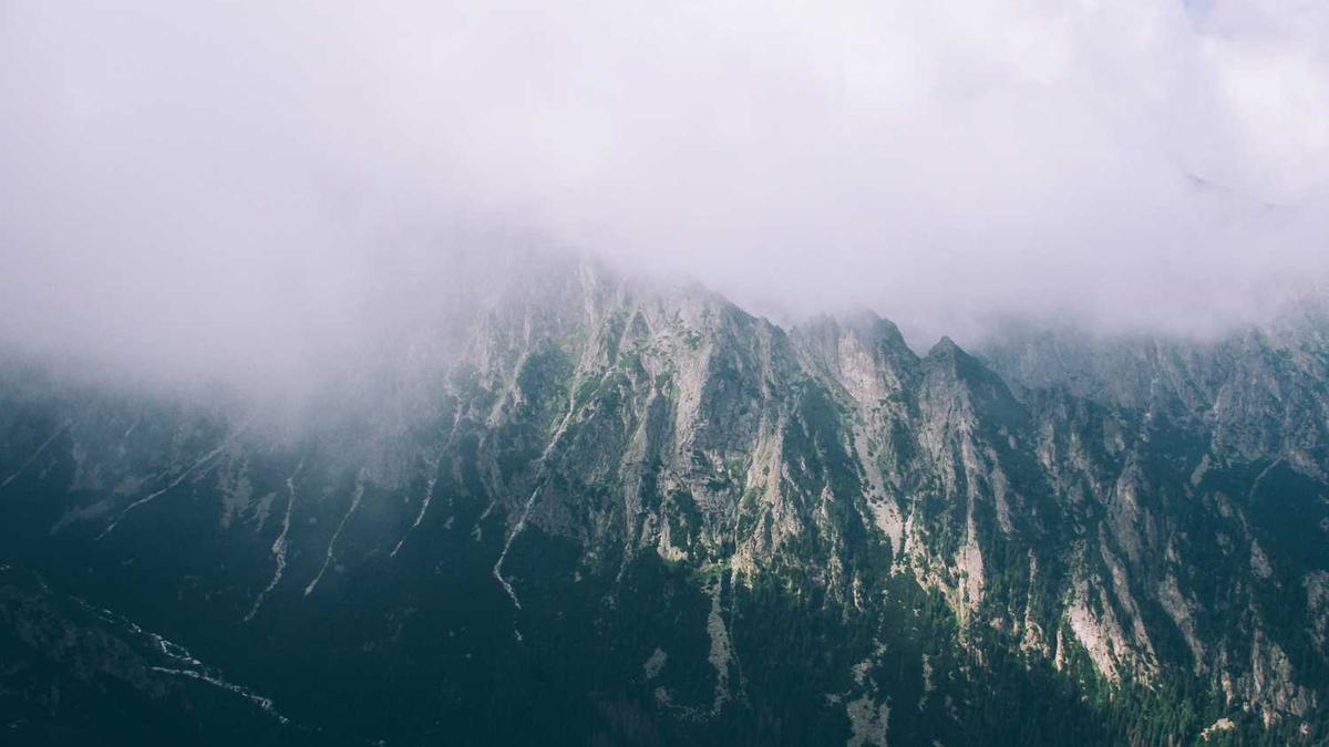 美剧电影排行榜