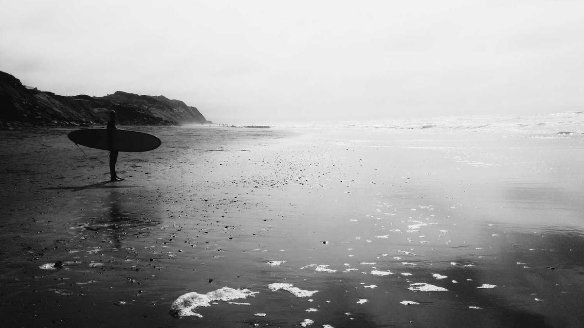 电视剧阵地故事梗概