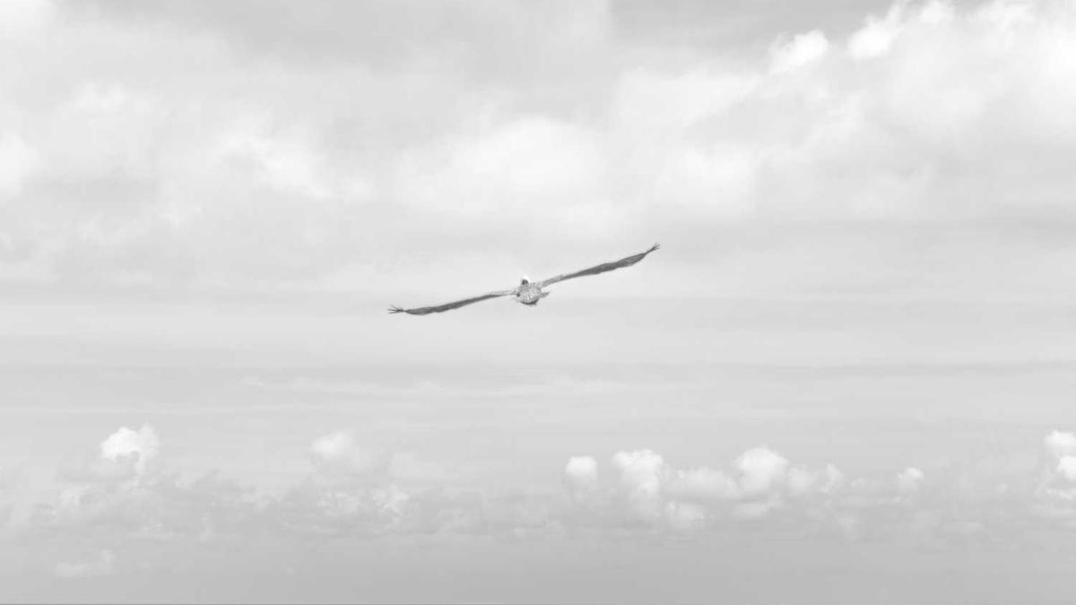 上海市不动产登记公寓,多少年居住权没有写