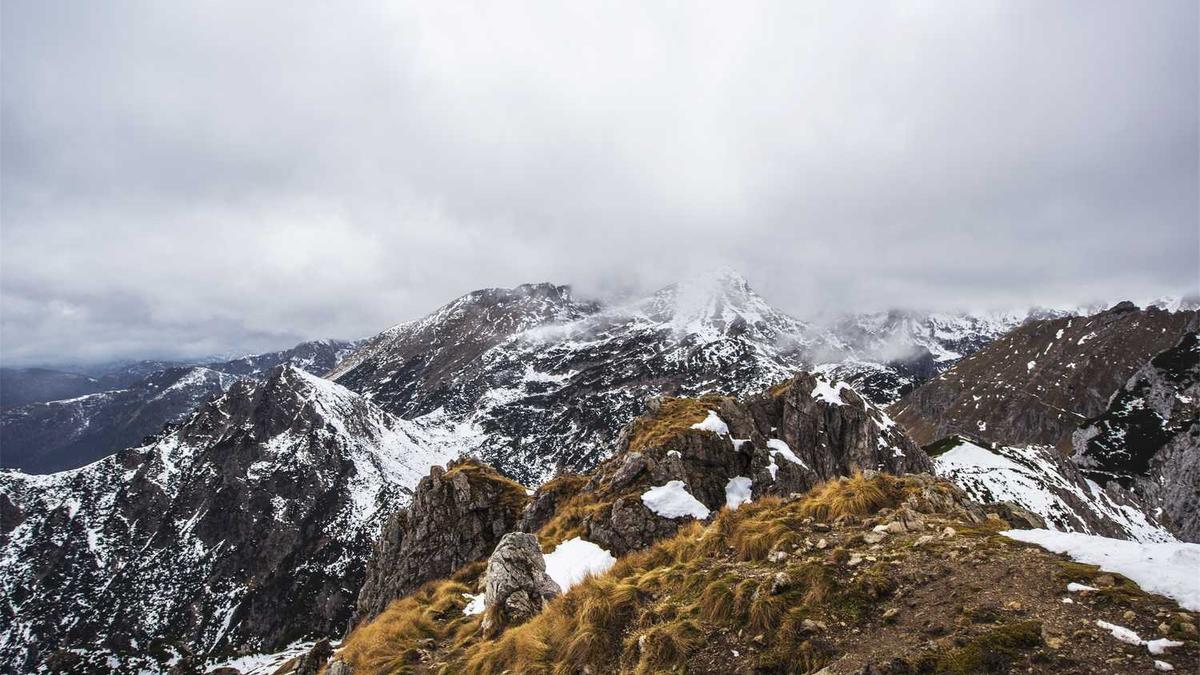 2025中国最电视剧