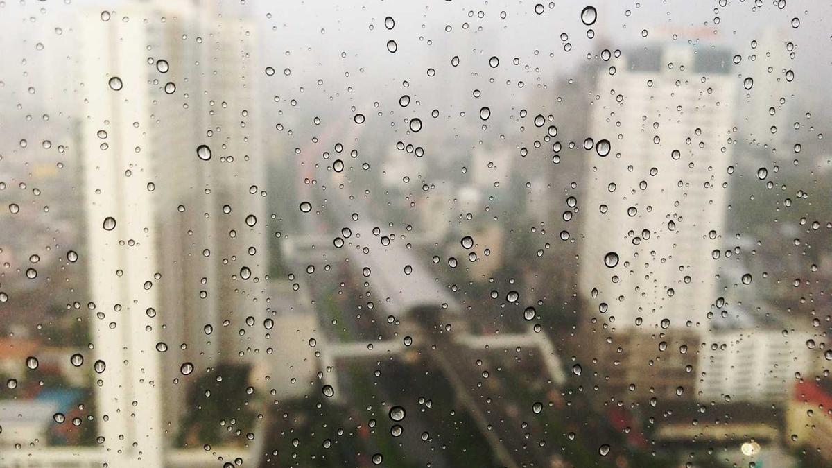 人与人之间是否要经常建立联系?