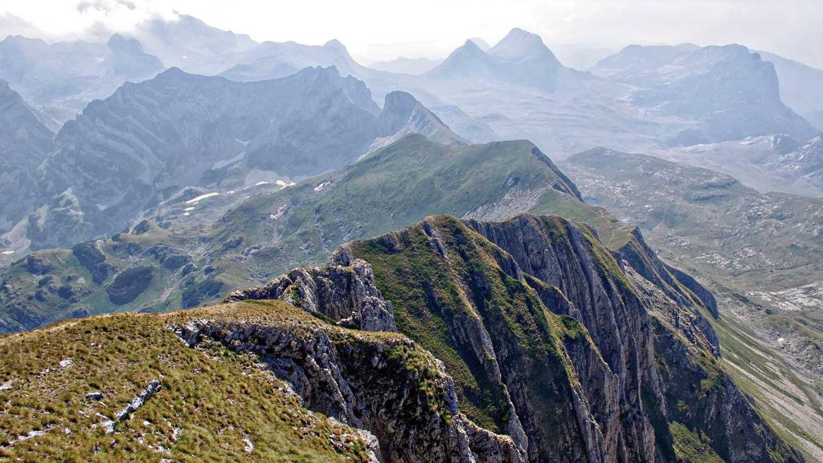 医学教育网如何