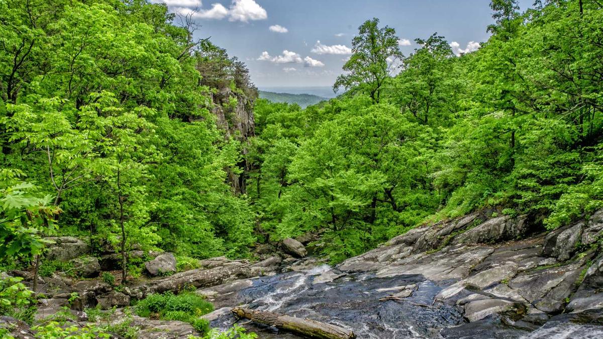 招唤和召唤什么意思