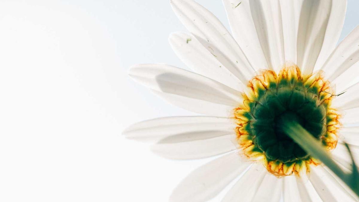 工作(学生)单位怎么填