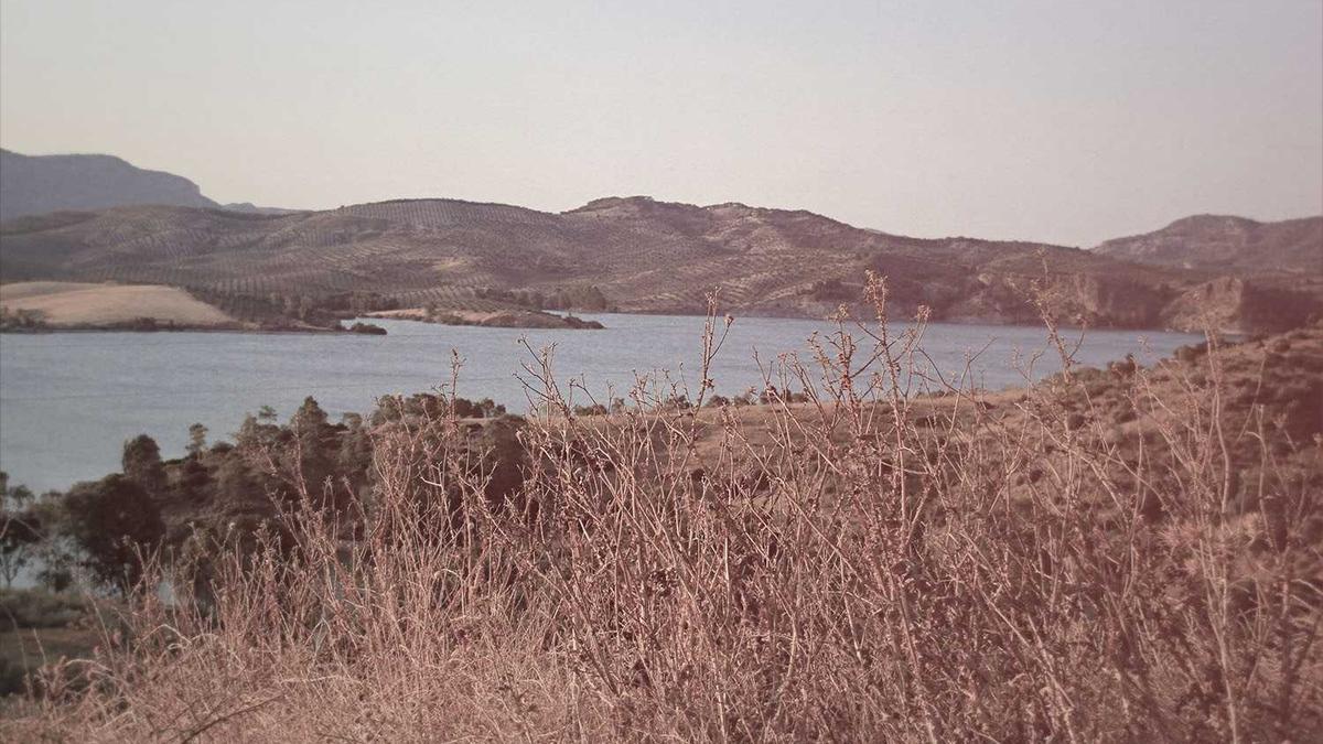 2025中秋晚会在哪里