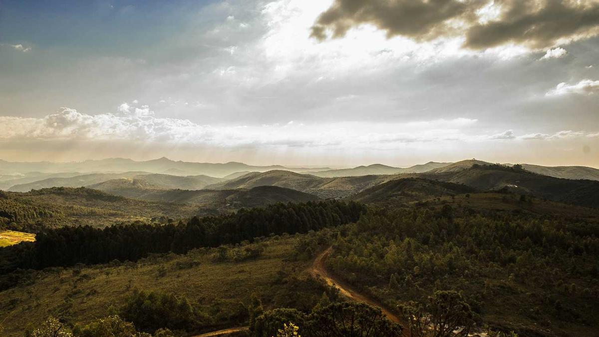 与你同行的歌词是什么?