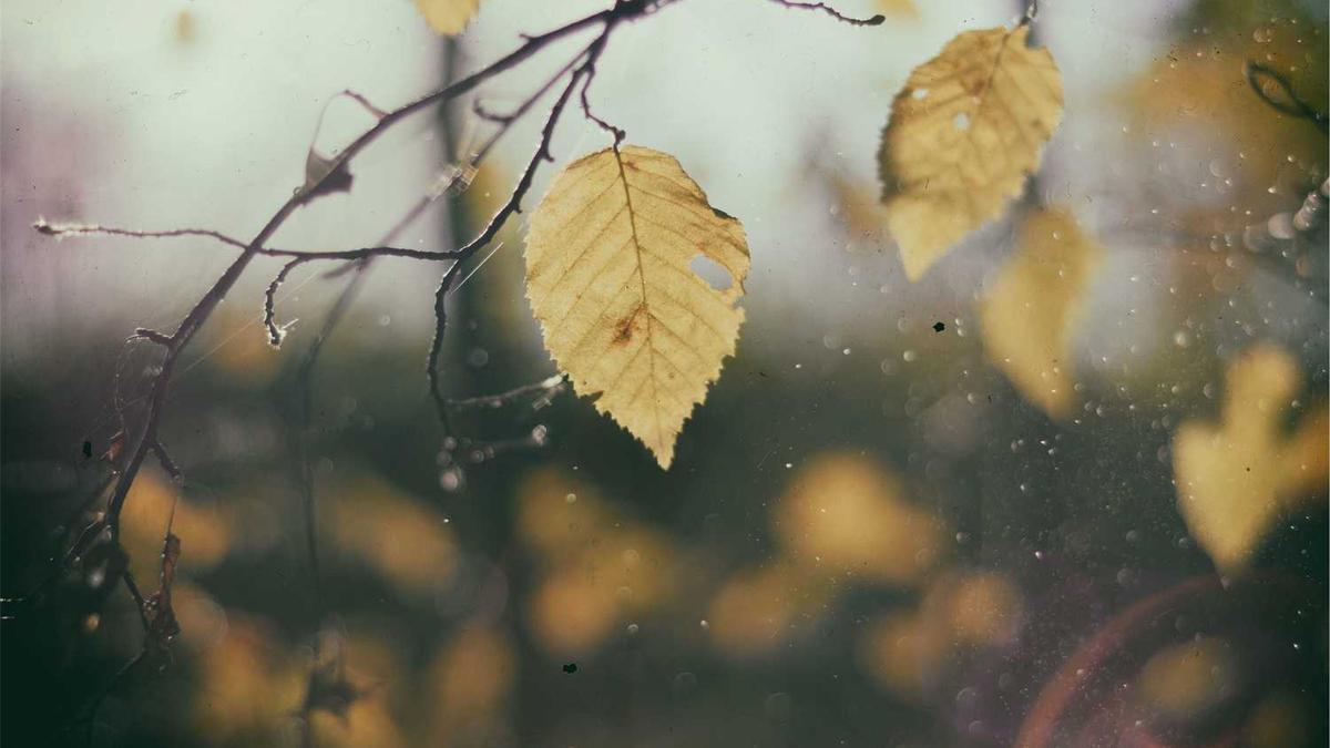 2024年各月工作日总共多少天呢 2024年各月工作日总天数