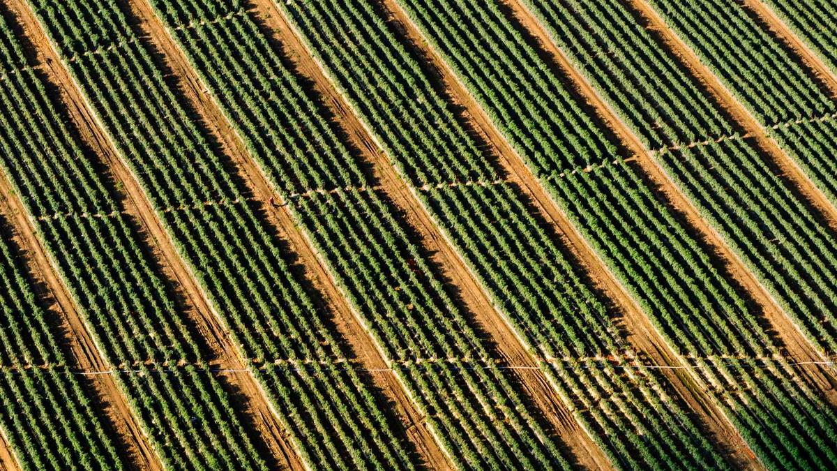 新闻特写是指什么意思