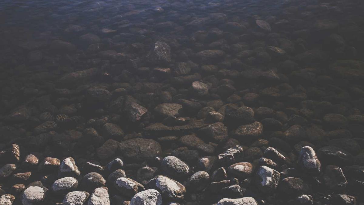 热播电视剧排名