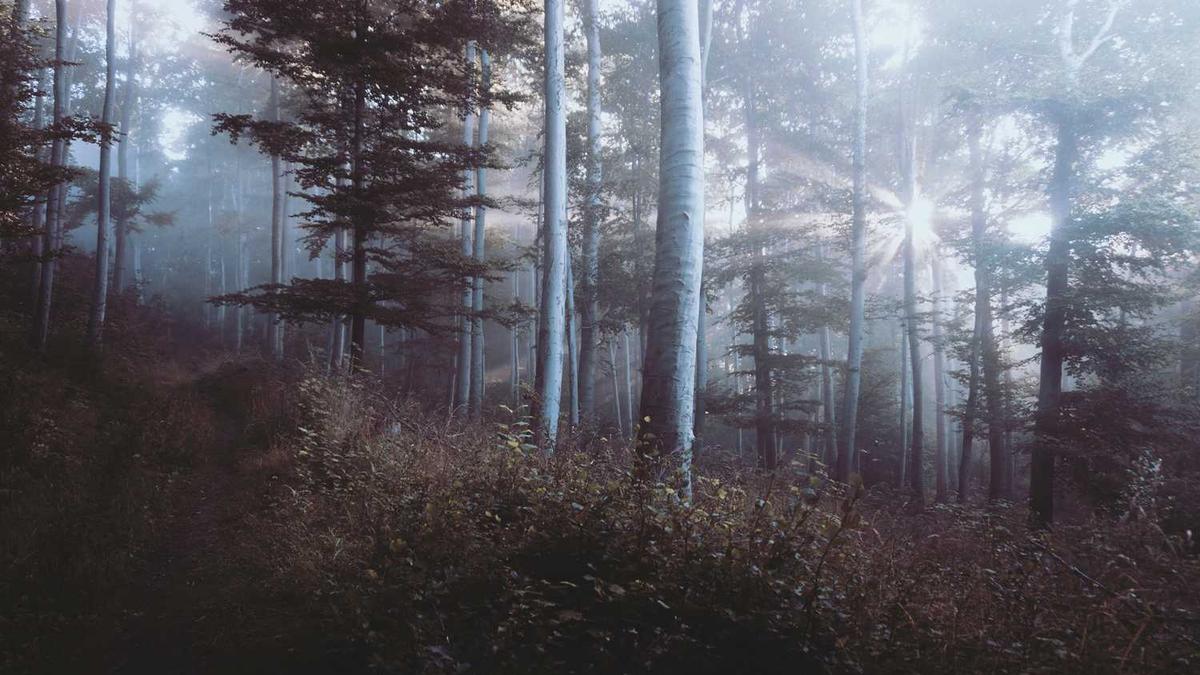 网上定购电动摩托车都说需要先付300元定金吗,这条是否属实?_百度...