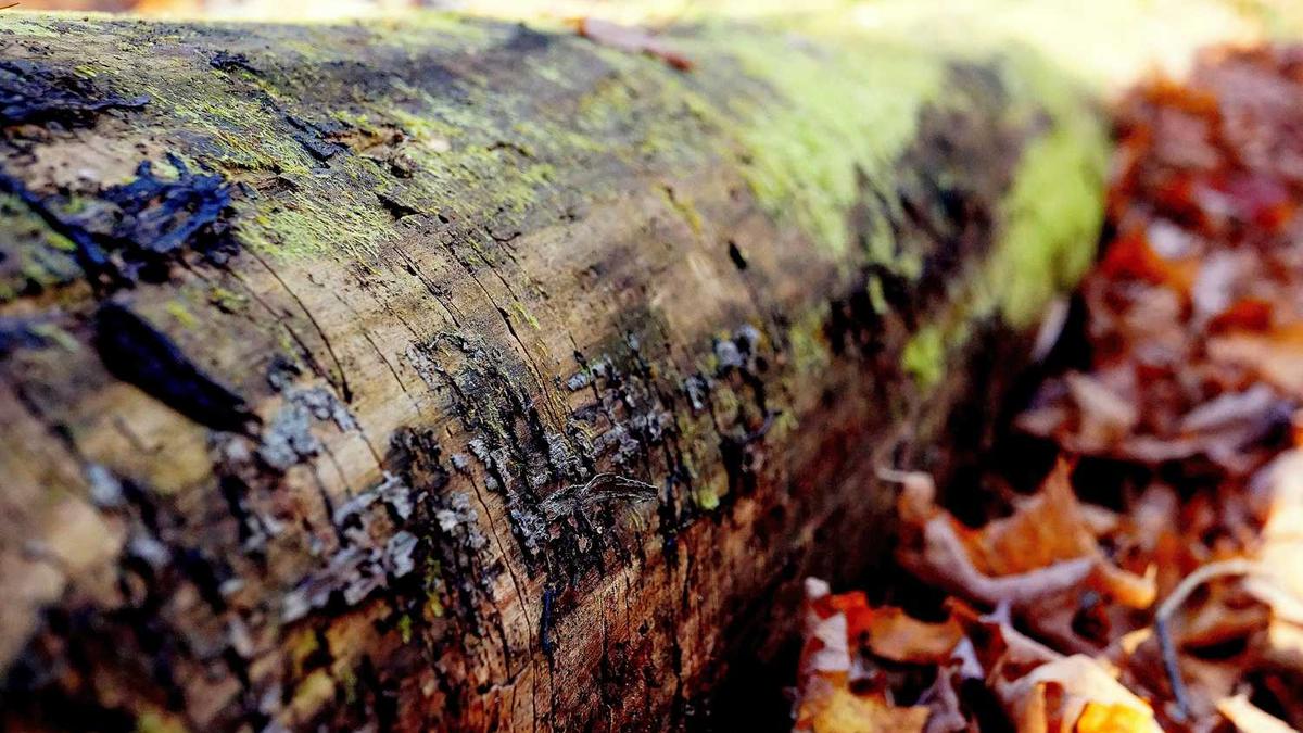 在涉及珠宝的转账过程中,诈骗分子会用什么套路