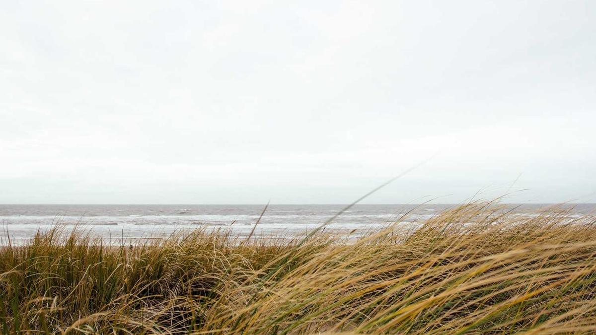 2025央视中秋晚会阵容公布