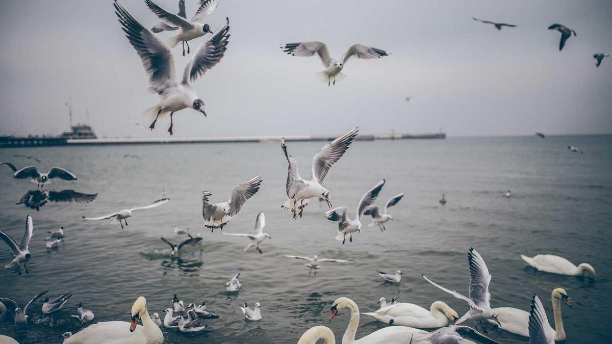 上海平型关路651弄属于中环吗?