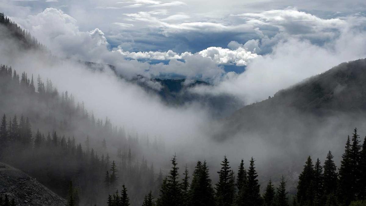 口碑好的按摩椅有哪些牌子