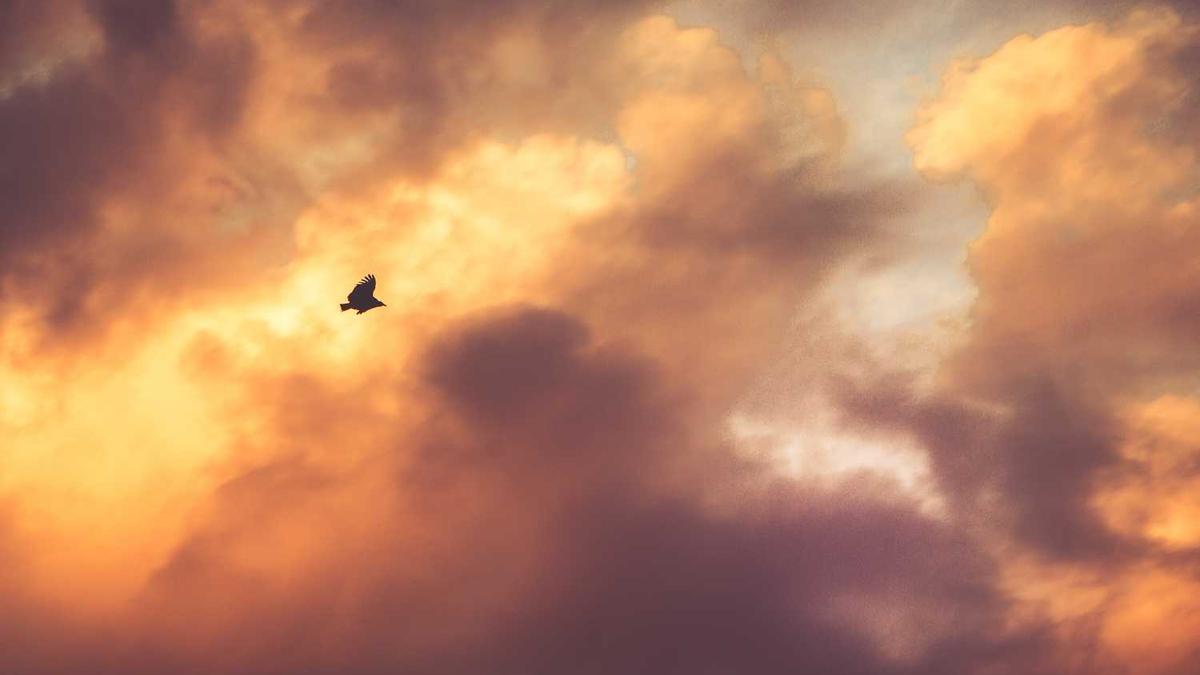 中国按摩器十大名牌这些品牌你都了解吗