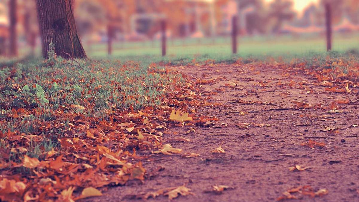 老师打学生两巴掌,可以举报教育局吗