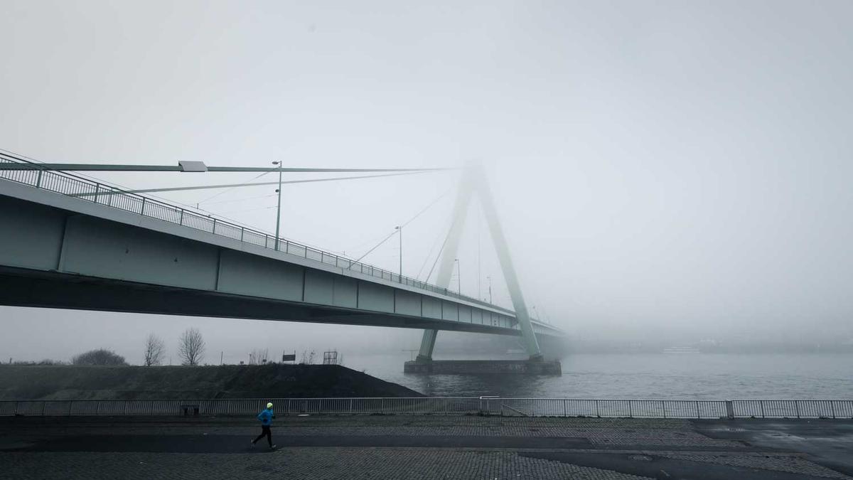 好看的小说介绍