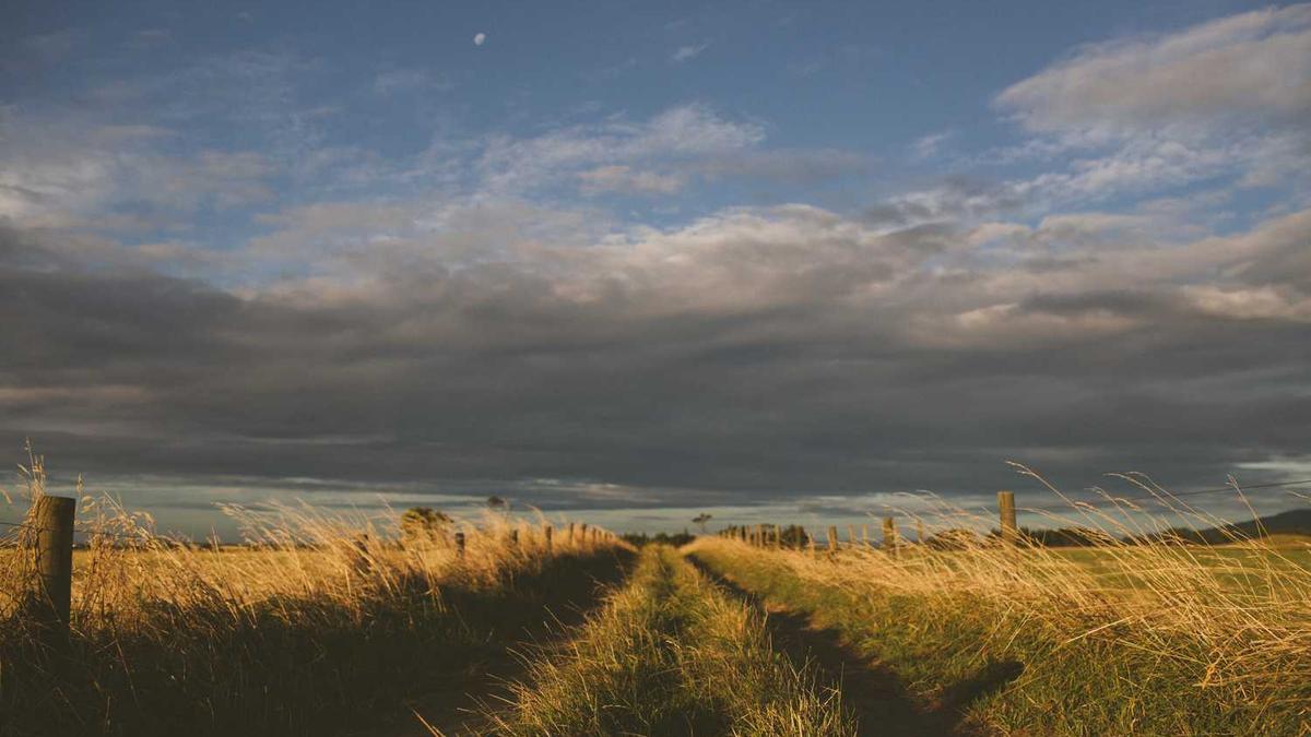 拍照拍到灵异怎么解释 细数拍照拍到鬼的真实事件