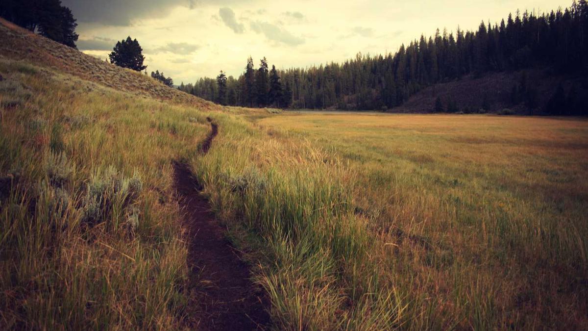 怎么下载海外版talktalk