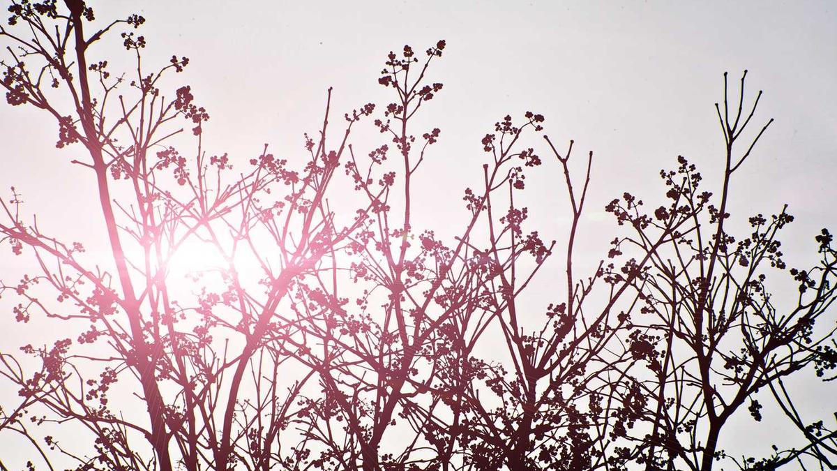 众信签电子合同企业桌面端操作教程