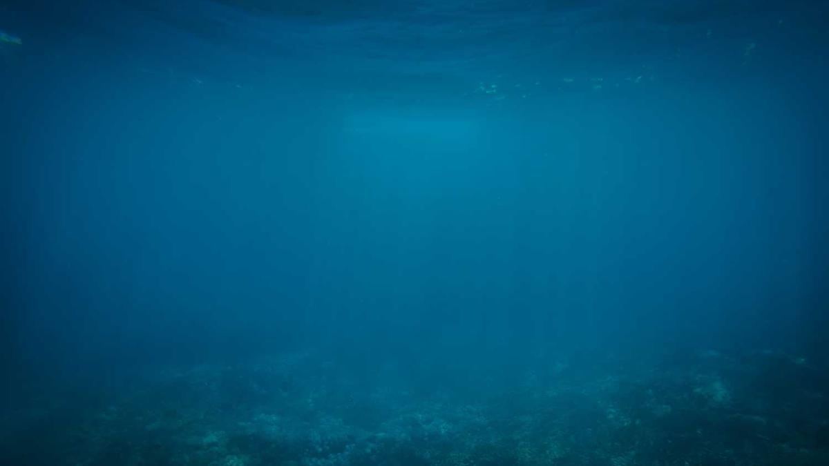 北京哪个旅行社口碑最好