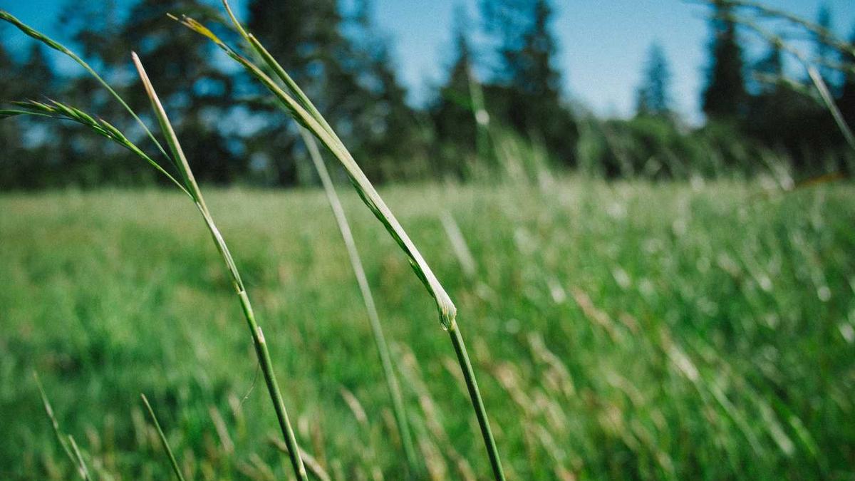 去马尔代夫如何选岛 马尔代夫选岛要多少钱