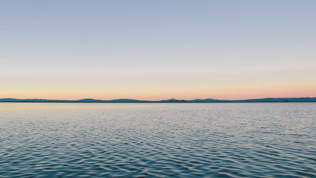 日本电影《尼姑庵》主演介绍大全