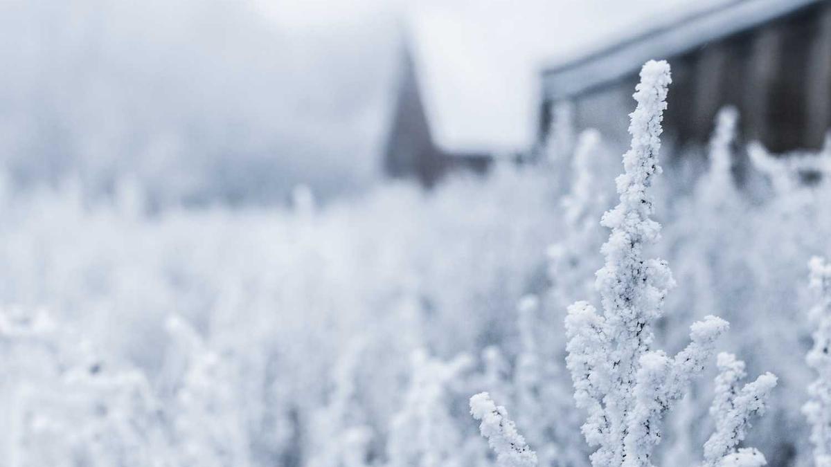 短视频带货项目靠谱吗?分享一个抖音蓝海视频带货项目,每天工作1小时...