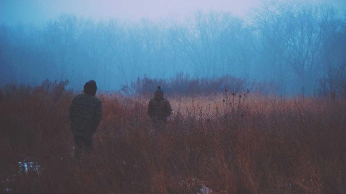 晚上喝什么茶好,安神有助于睡眠的五种茶类