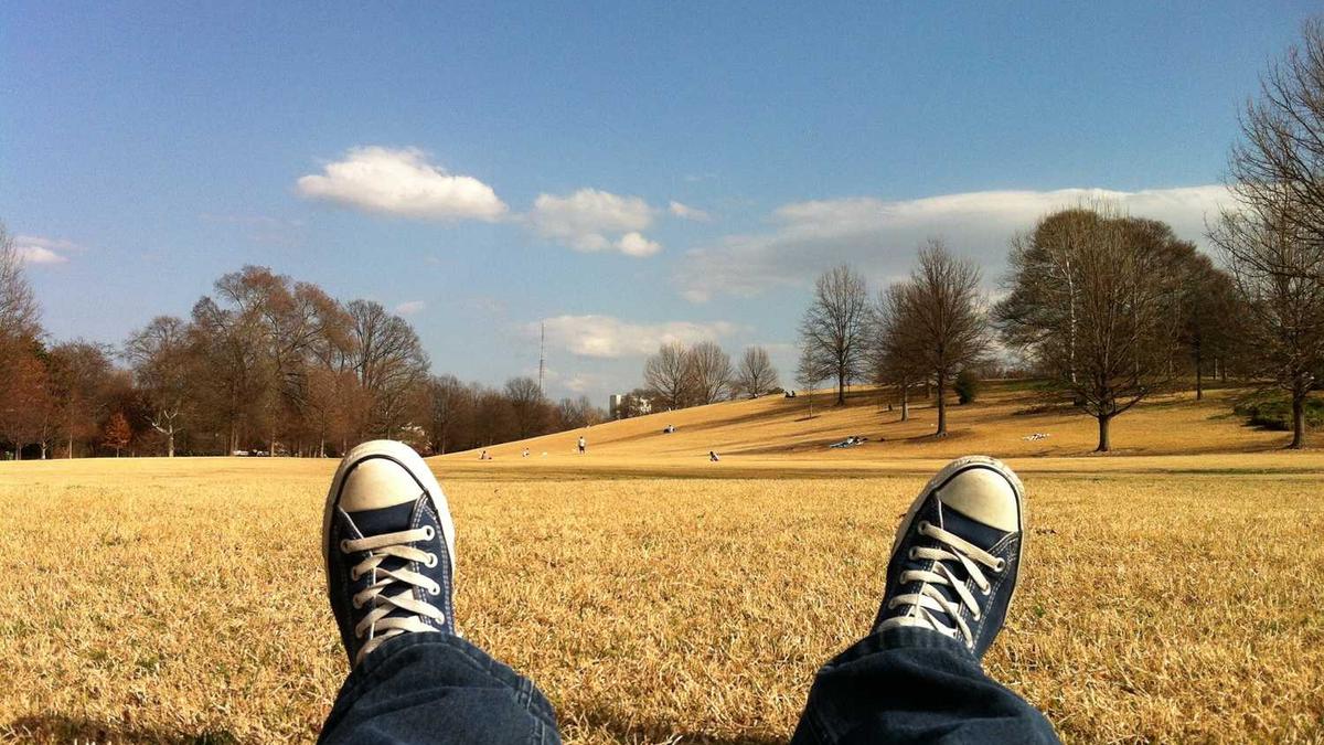 张家界著名景点有哪些,必去的10个景点