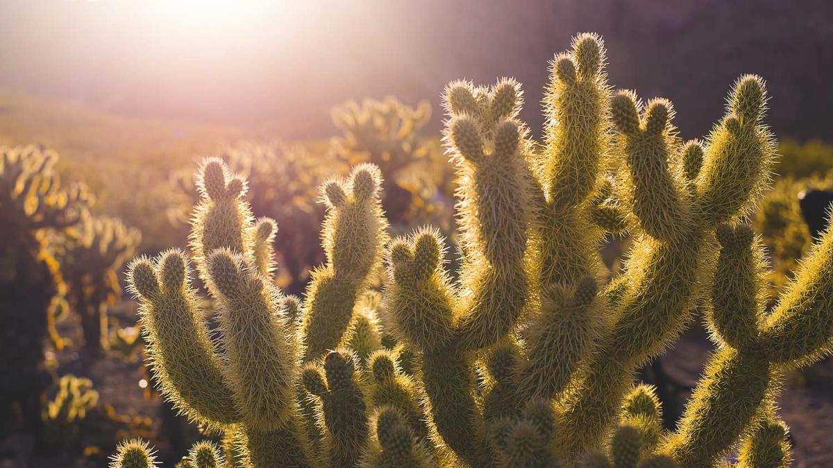 临沂市最近10天天气预报数据