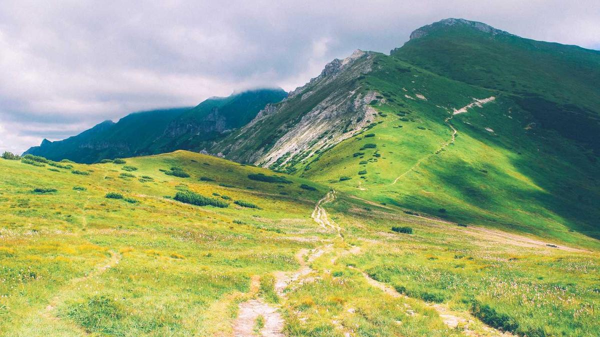 每天喝茶的好处和坏处