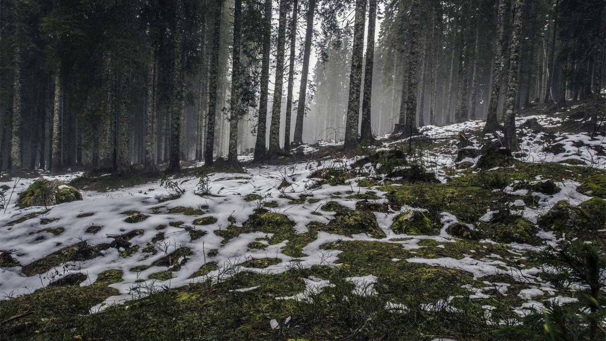 湖州有哪些交通方式