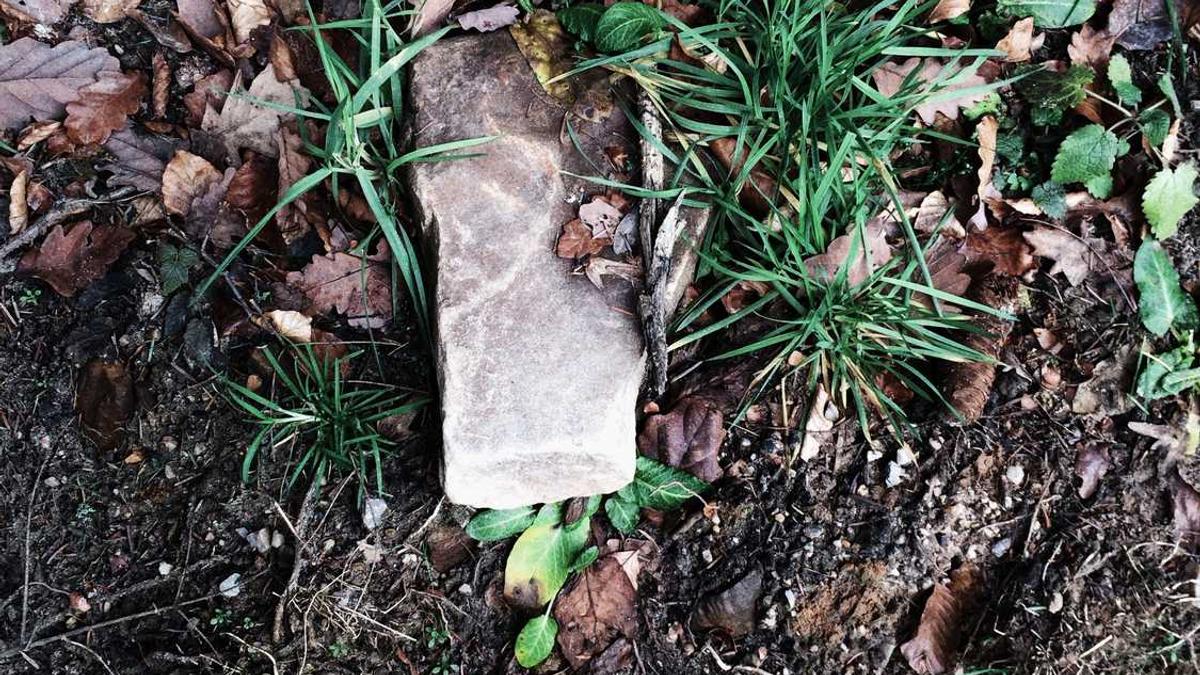 荆州古城游玩攻略