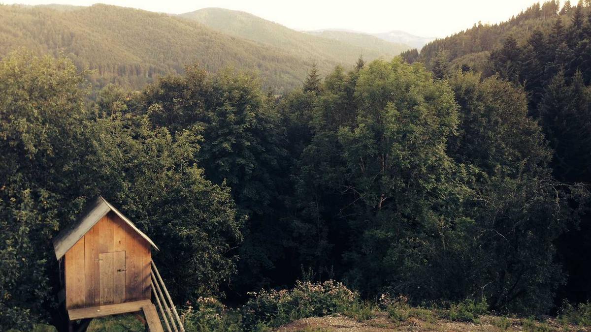 荆州古城有几座城门