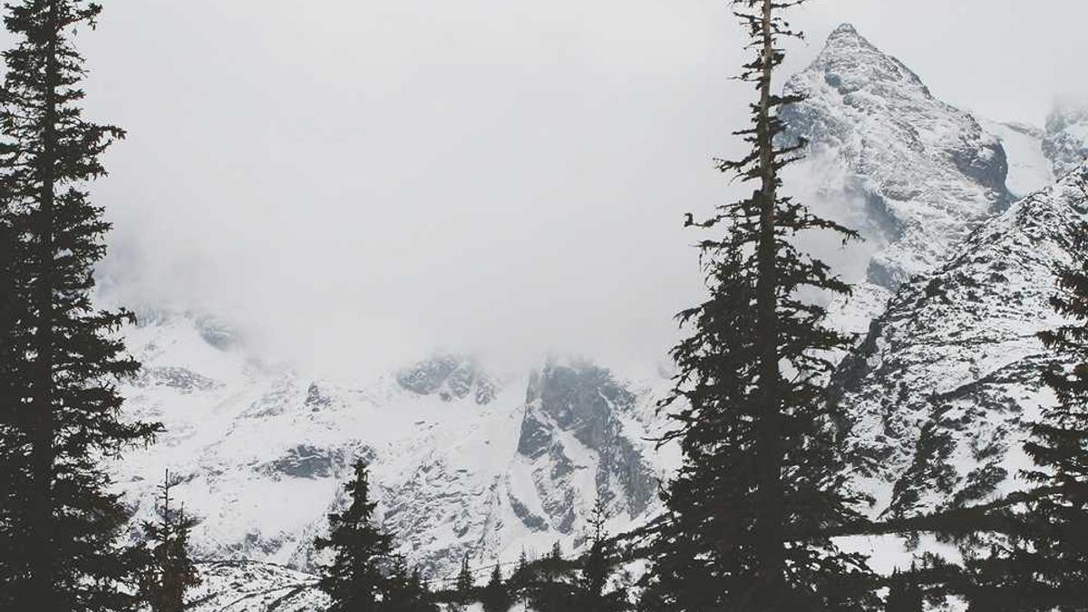 工作单位怎么填个体户