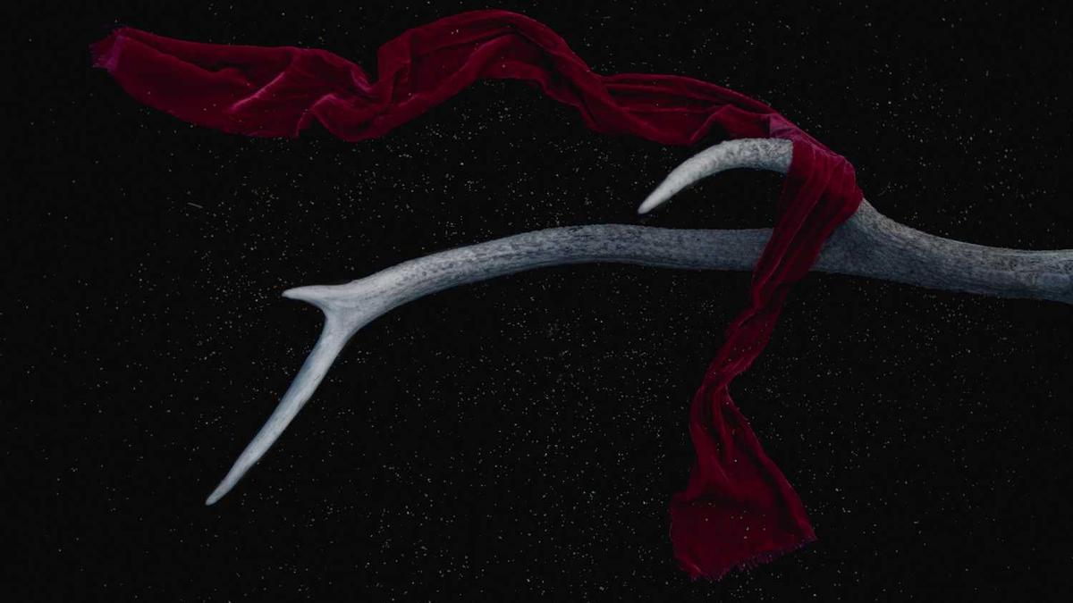 临沂怎么读_临沂的读音是什么_沂蒙精神是什么?