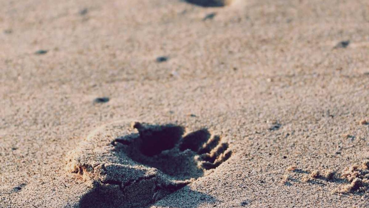 腾冲9月份天气情况