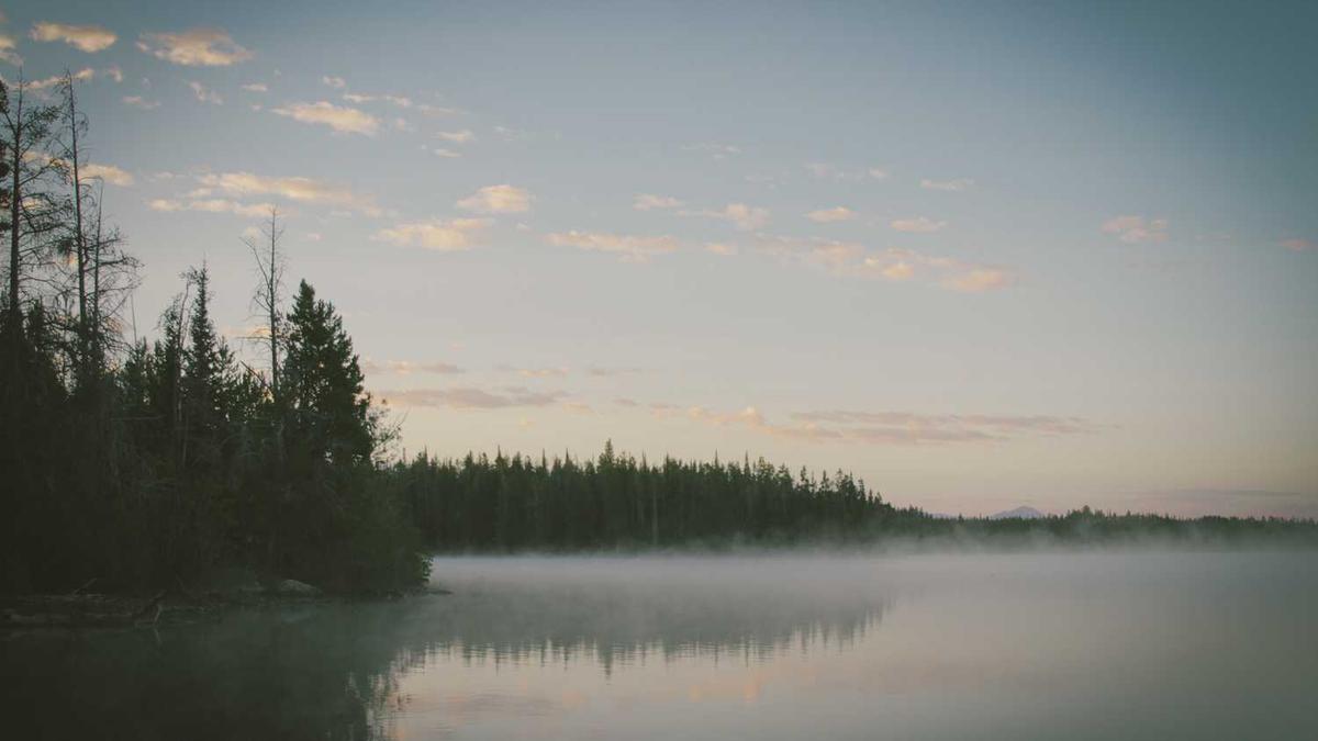 传统媒体的发展现状