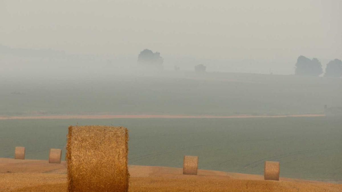 靠谱的天气预报系统公司有哪些?