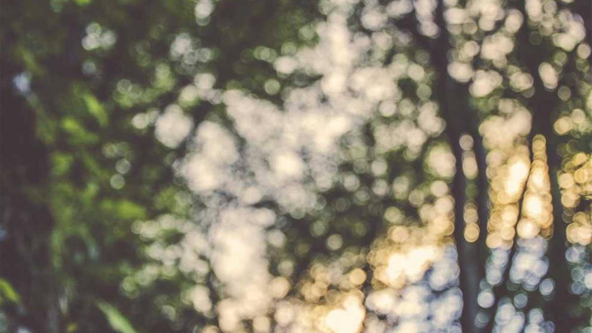 因为杭州景点太多,求旅游的最好路线和旅游攻略?