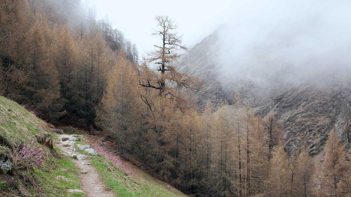 明天早上淮北和徐州的天气有雾吗?